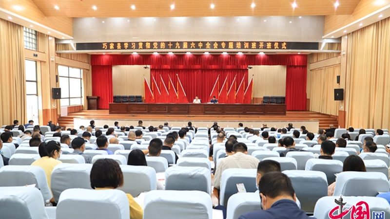 职业培训与学历教育：证书获取的易难之辨